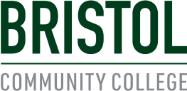 Bristol CC logo 1