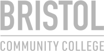 Bristol Footer Logo