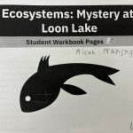 EPS Richardson Eosystems Mysterry at Loon Lake