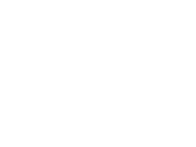 BSU Logo White